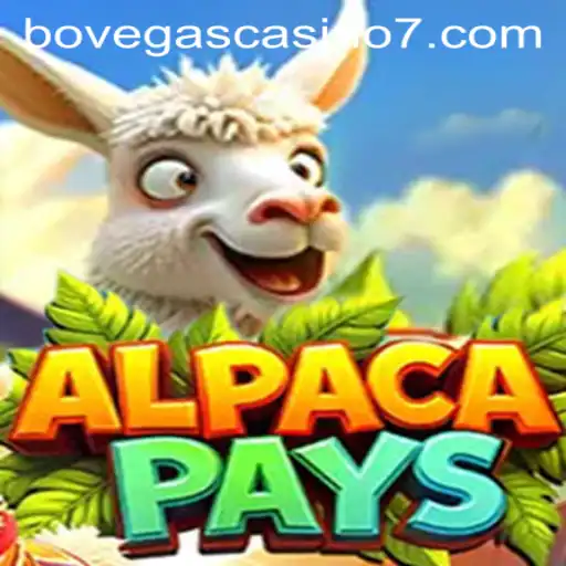 Discover the Thrilling World of AlpacaPays at BoVegas Casino