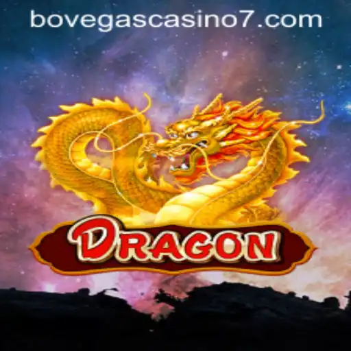 Discover the Thrilling World of Dragon at BoVegas Casino