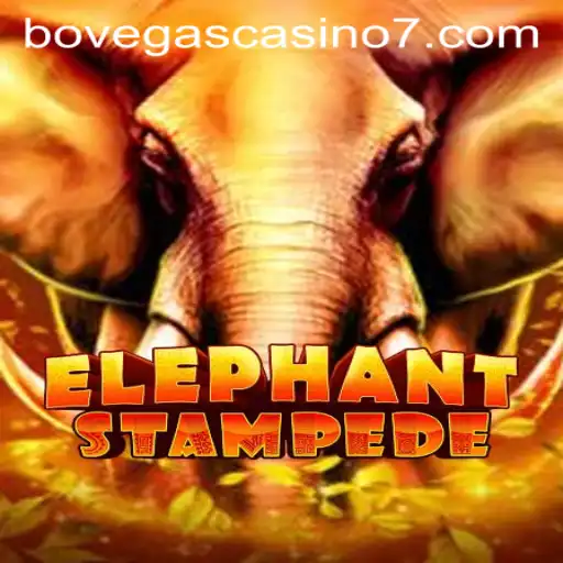 Exploring the Excitement of ElephantStampede at BoVegas Casino